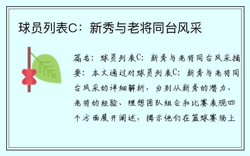 球员列表C：新秀与老将同台风采